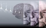 Nuovo Rapporto Mondiale sull'Alzheimer 2015