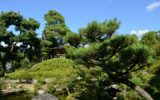 Parchi per Kyoto in Comune