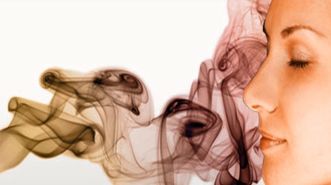 Percezione degli odori: quale legame con l'ansia?