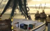 Pesca demersale nel Mediterraneo occidentale: accordo europeo