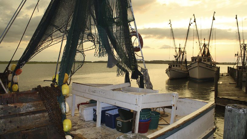 Pesca demersale nel Mediterraneo occidentale: accordo europeo