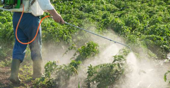 Pesticidi: una tossicodipendenza che costa cara all'ambiente