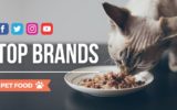 Pet Food: i brand più social