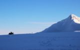 Programma di Ricerche in Artico: apertura del nuovo bando