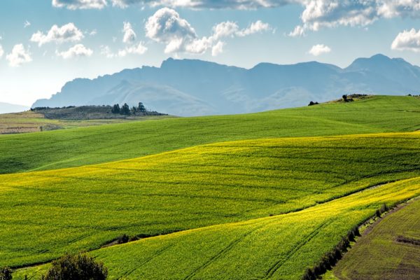 Regione Campania: arriva il sistema Blockchain per l'agroalimentare