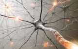 Ricerca italiana: nuovo trattamento per la sclerosi multipla