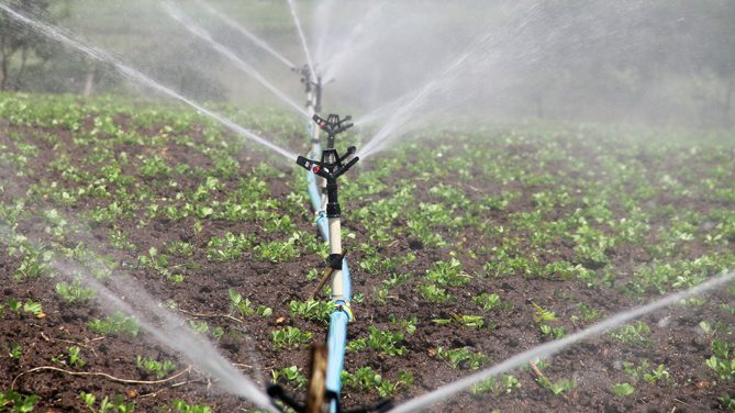 Riutilizzo dell'acqua per l'irrigazione agricola: l'accordo provvisorio dell'UE
