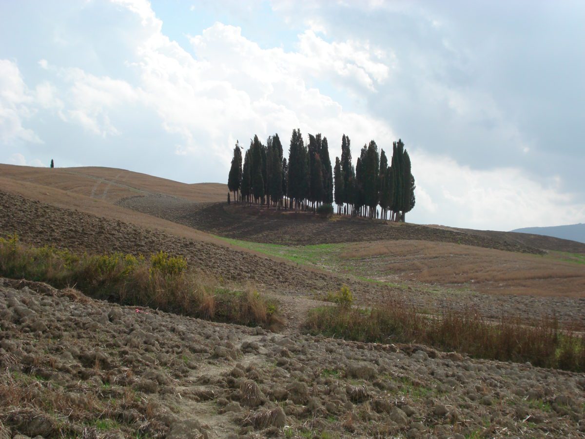 Rural Festival Toscana