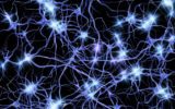 Sinapsi artificiali per la comunicazione neuronale