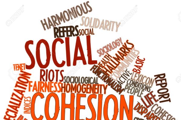 Social Cohesion tour