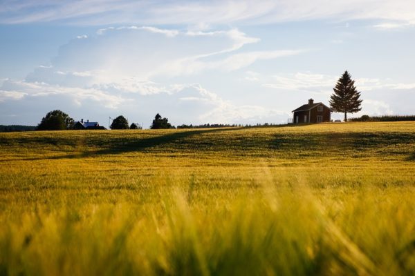 Sviluppo rurale: fondi europei a rischio