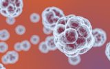 Test diagnostico per il Coronavirus: alla ricerca di tamponi ed esami rapidi