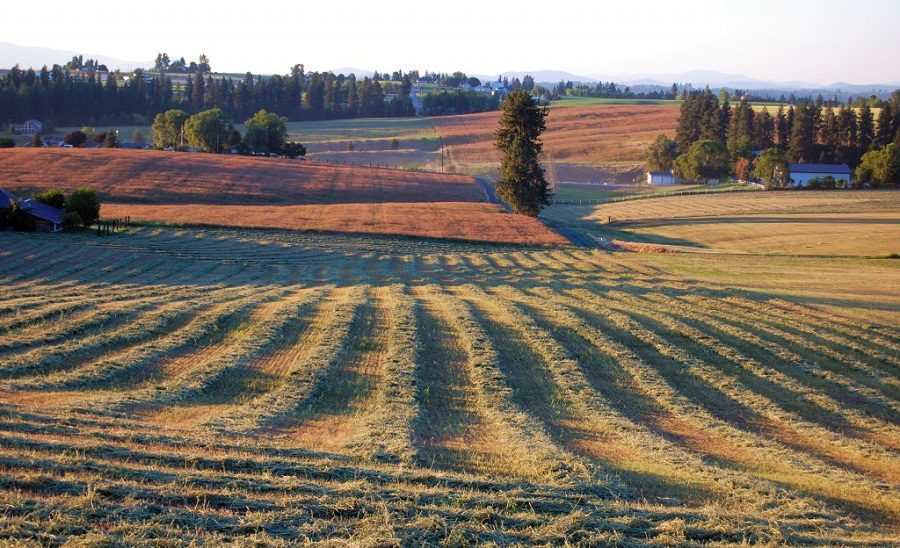 Ue: via libera alla petizione people4soil Ue: via libera alla petizione people4soil