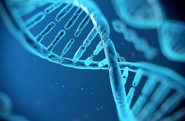 Un nuovo approccio alla terapia genica per le malattie 'genomiche' primi risultati positivi per la terapia genica