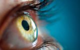 Una retina "made in Italy" per recuperare la vista