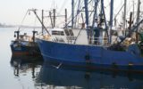 Unione Europea: nuove norme sulla pesca