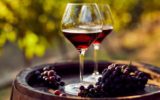 Vendemmia 2019 e record dell’export del vino