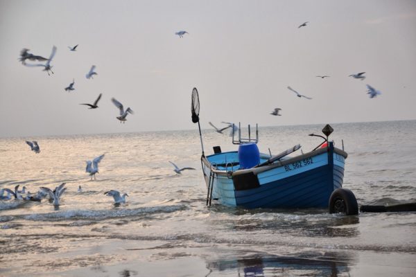 WWF: la pesca eccessiva sottrae risorse ai paesi poveri