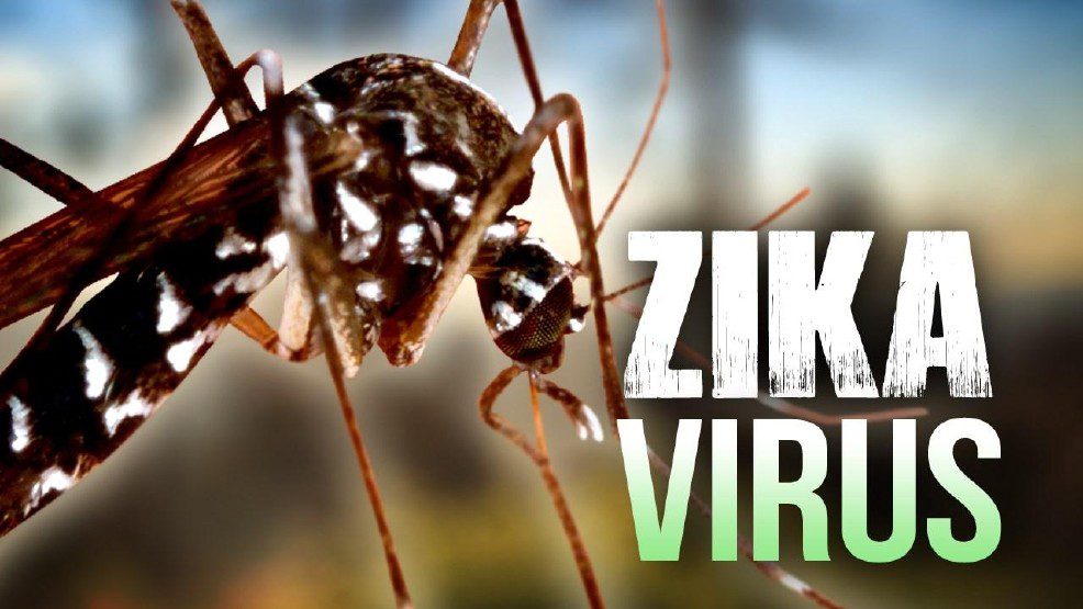 Zika è ormai presente in 42 Paesi nel mondo