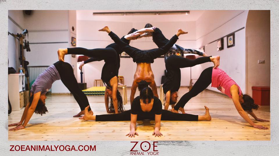 Zoé Animal Yoga