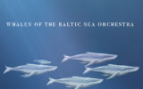 Whales of the Baltic Sea Orchestra
