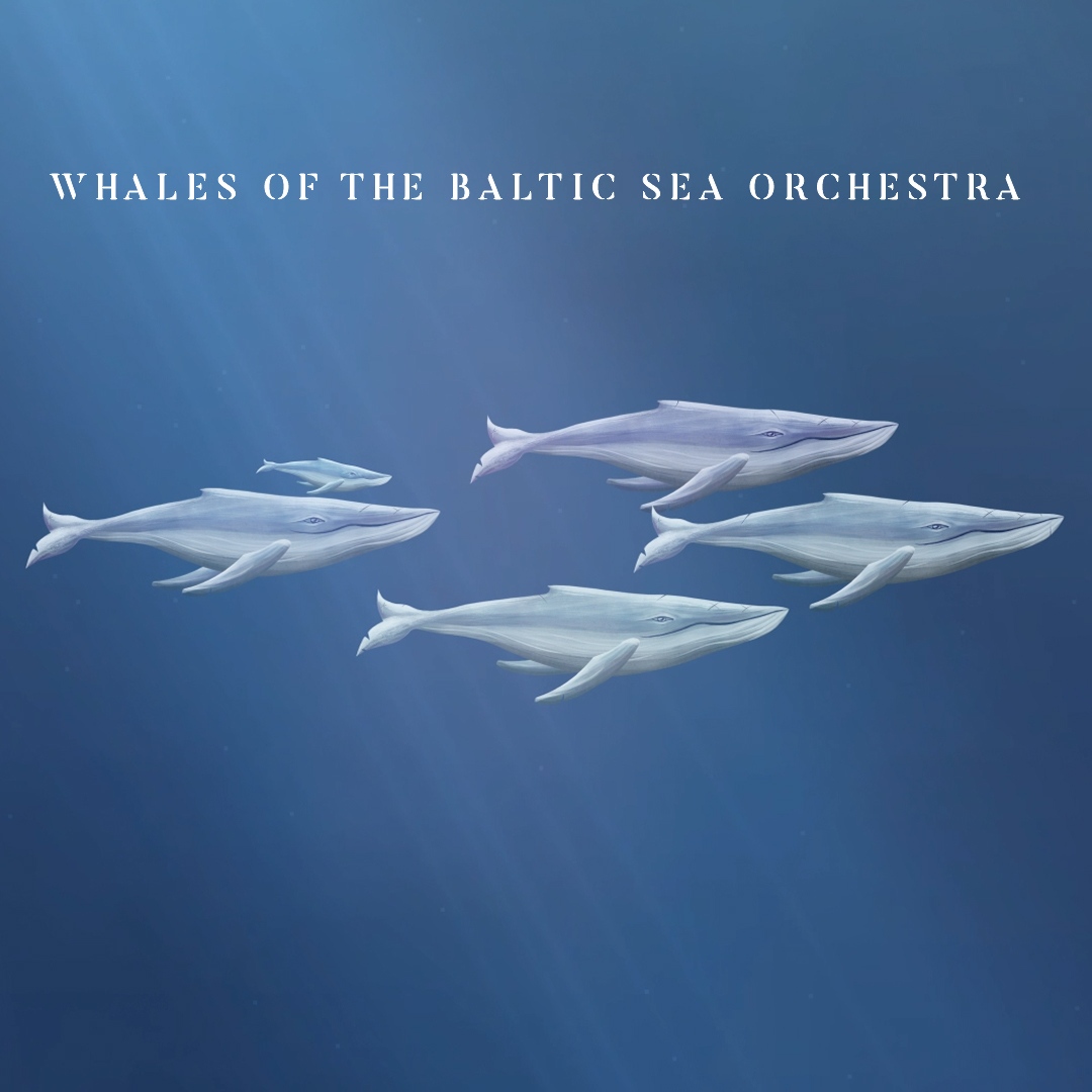 Whales of the Baltic Sea Orchestra