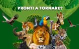 Nuovi arrivi allo Zoo di Napoli