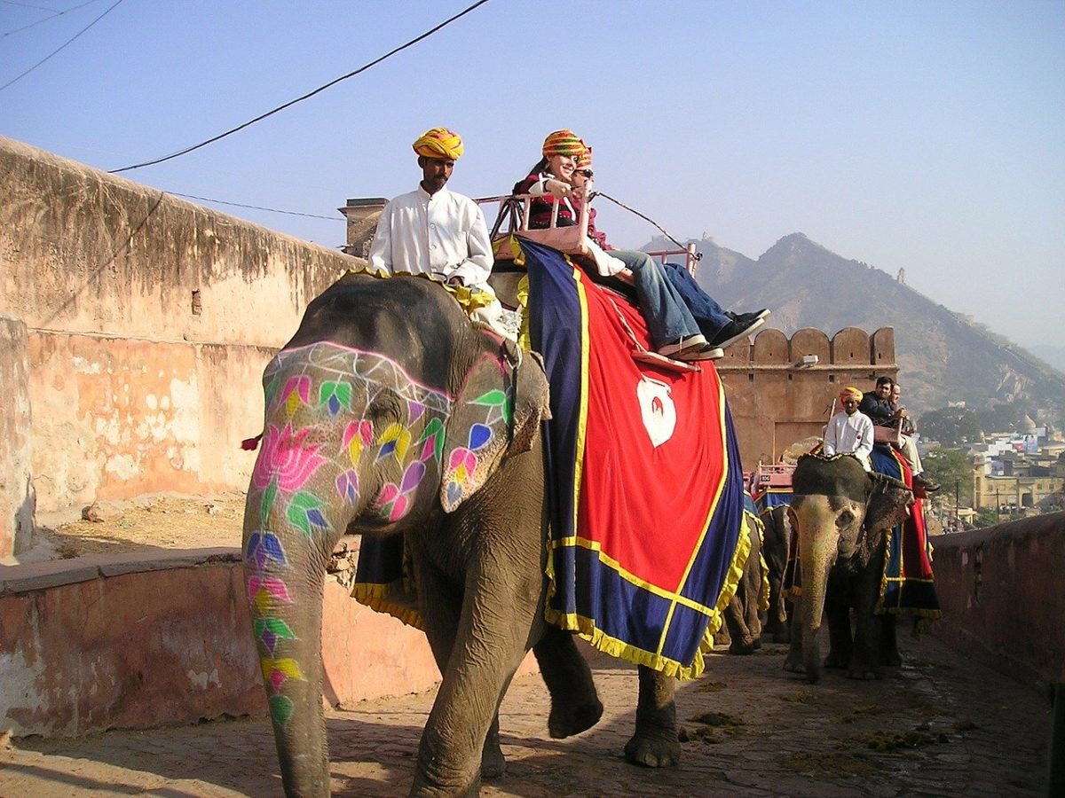 elefante in India