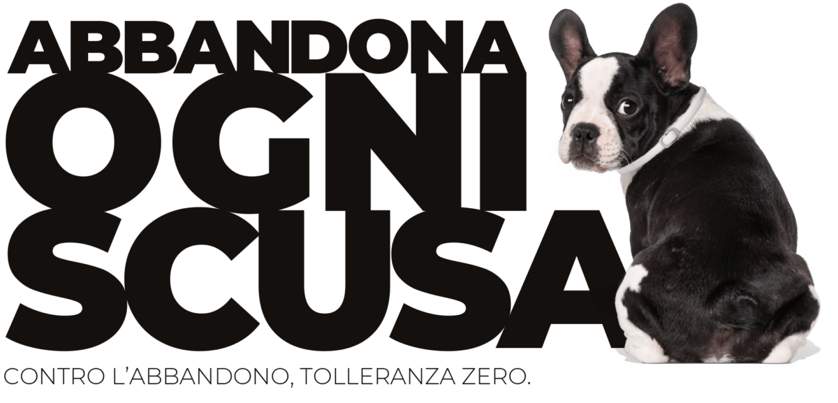 #Noabbandono2020, la campagna realizzata da MSD Animal Health