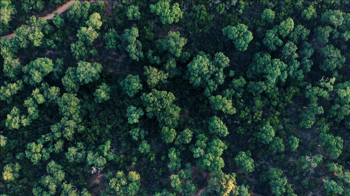 sostenibilità trasparenza ambientale