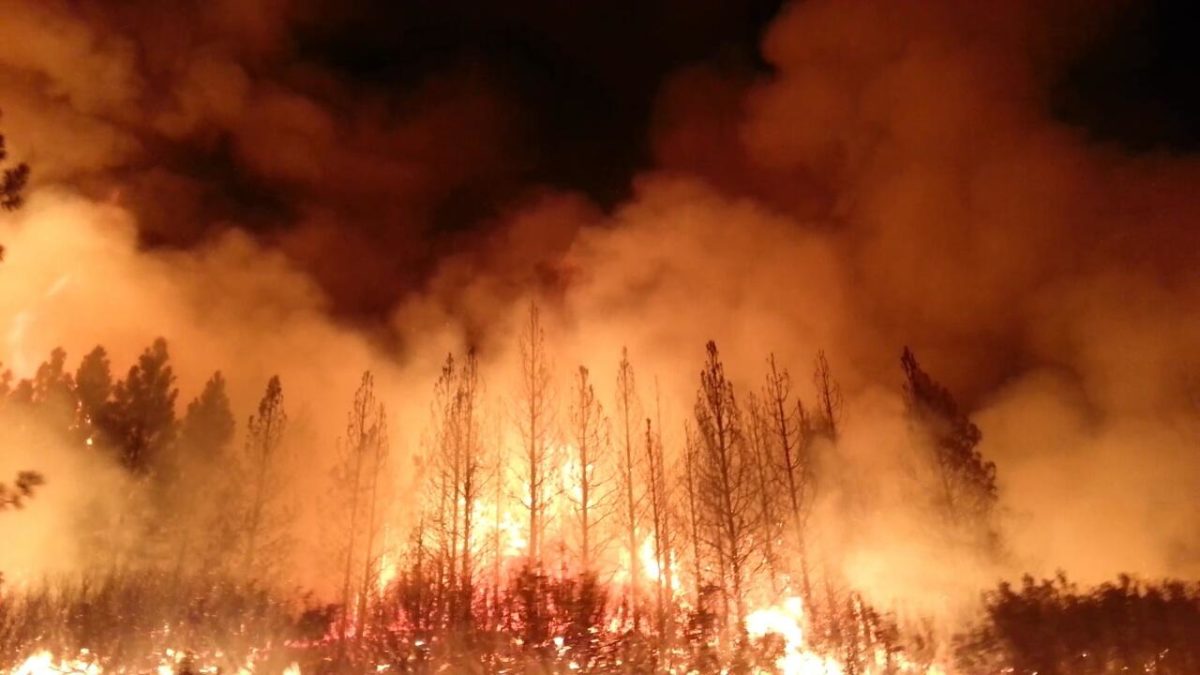 Gli incendi nell'Oregon, Washington e Portland: l'emergenza cresce