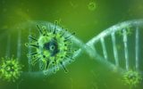 Covid 19: perché il virus può mutare il virus può mutare