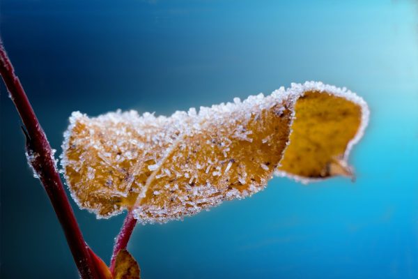 Gelo tardivo, maltempo e neve: inverno protagonista a ridosso dell'equinozio