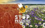 Stop pesticidi: lettera aperta dell'Alleanza Ice. Salviamo api e agricoltori