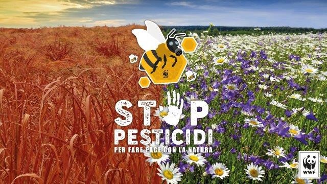 Stop pesticidi: lettera aperta dell'Alleanza Ice. Salviamo api e agricoltori