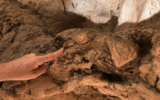 Circeo: la recente scoperta dei reperti Neandertaliani