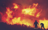 Incendi: prevenirli per tutelare il patrimonio forestale