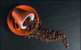 Slow Food Coffee Coalition
