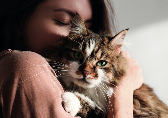 Pharma: il nuovo antiparassitario per gatti di Vetoquinol approvato dalla Commissione Europea