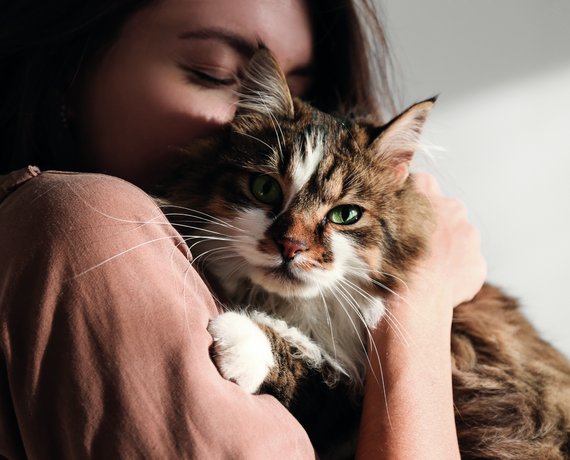 Pharma: il nuovo antiparassitario per gatti di Vetoquinol approvato dalla Commissione Europea