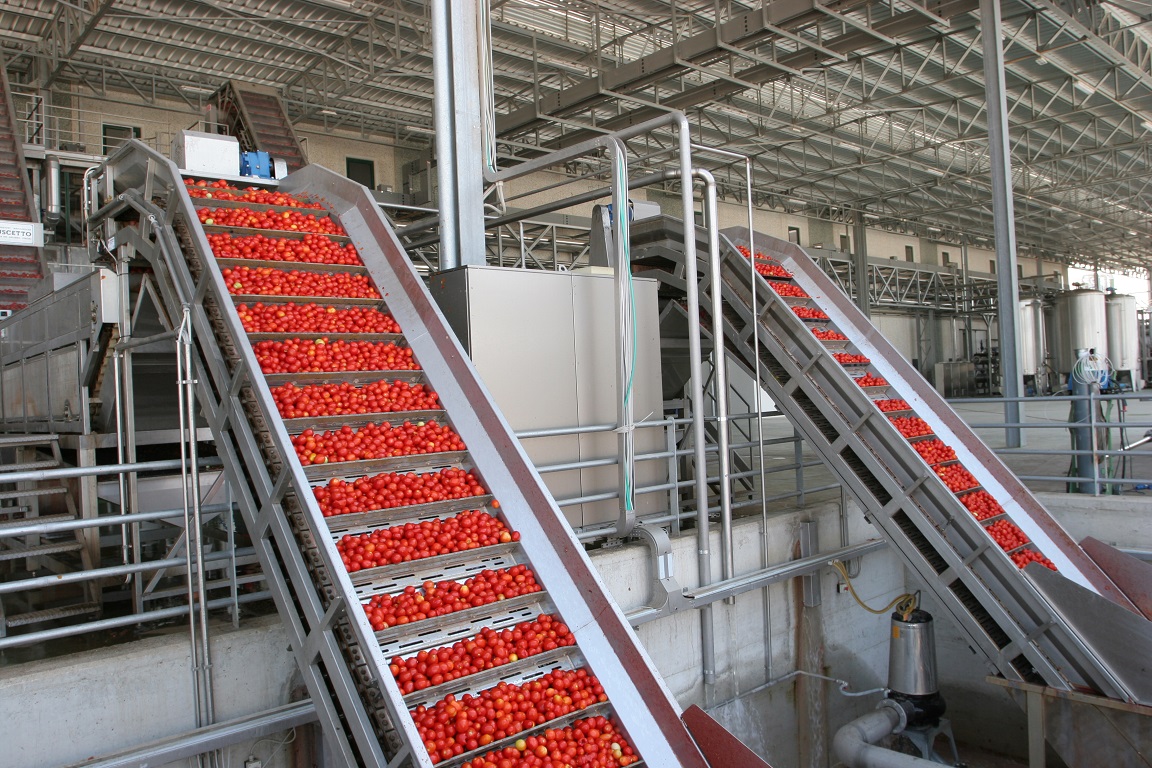 filiera produzione pomodoro