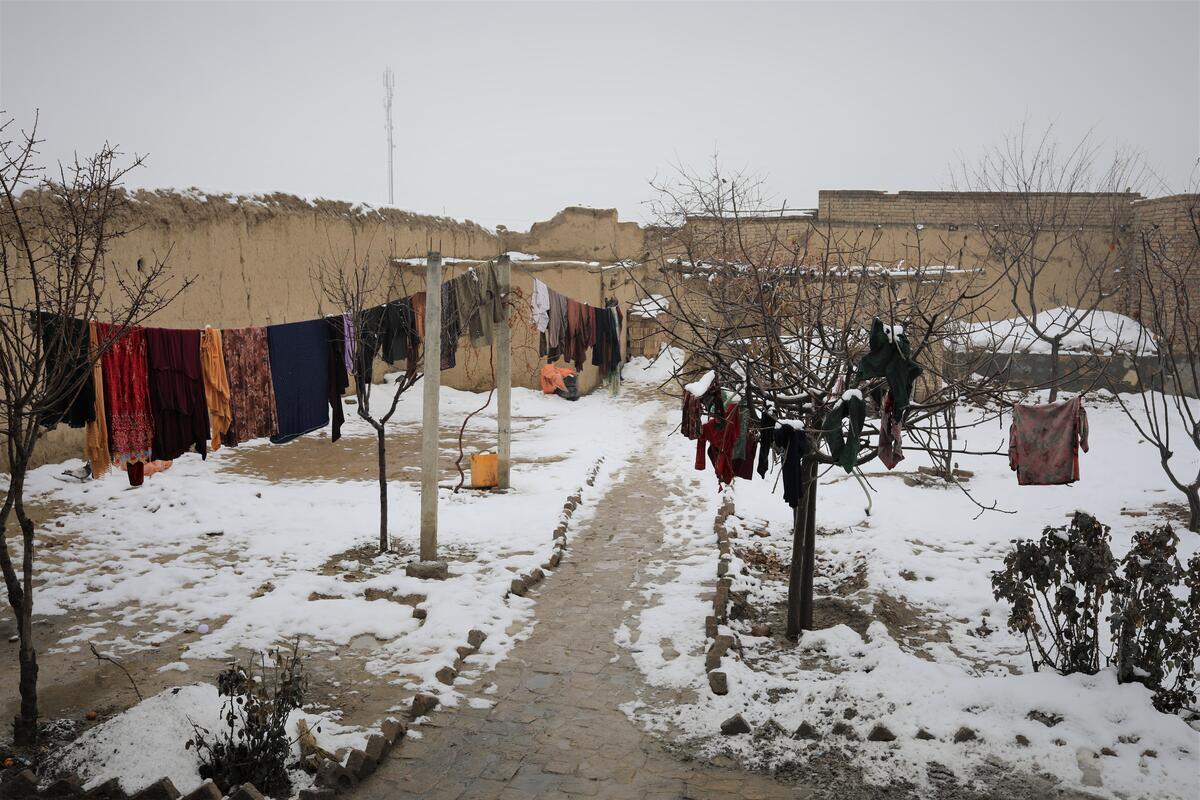 afghanistan situazione sanitaria catastrofica