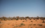 somalia siccità2