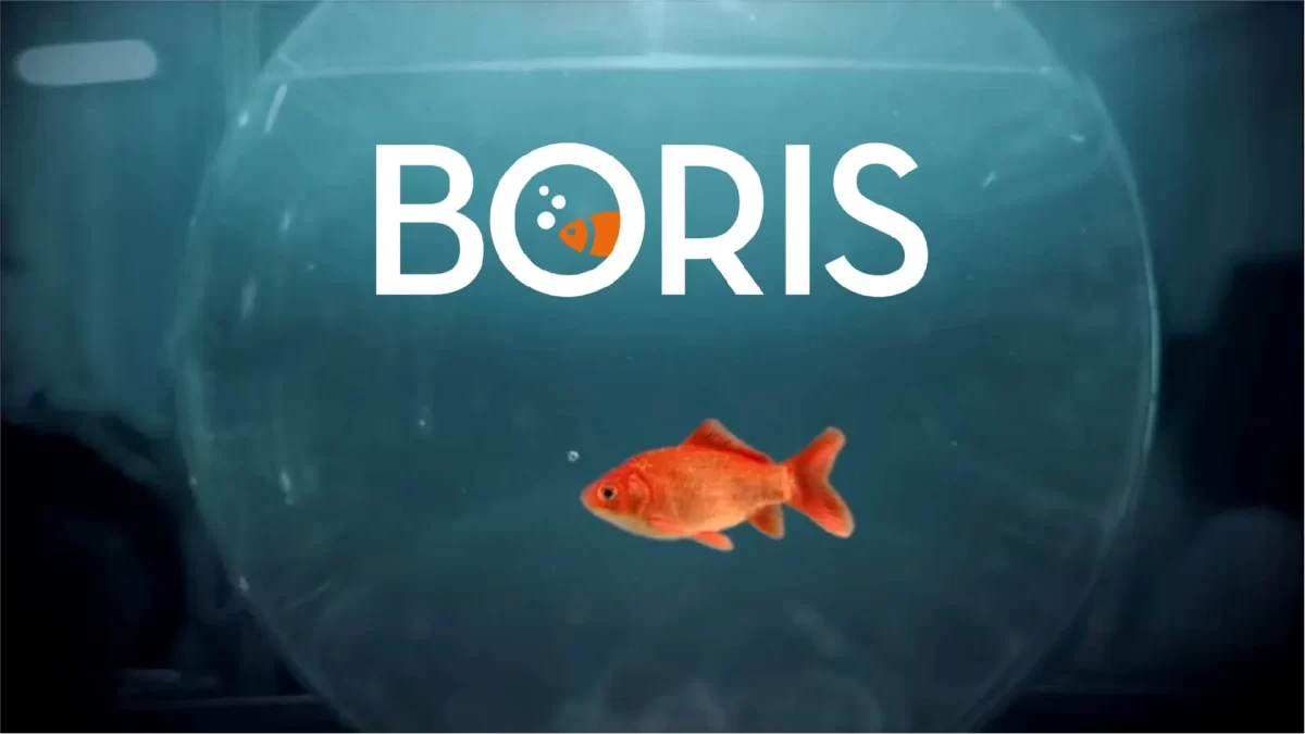Boris la serie