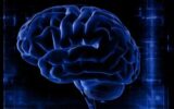 Covid può cambiare il cervello, studio su pazienti con sintomi persistenti