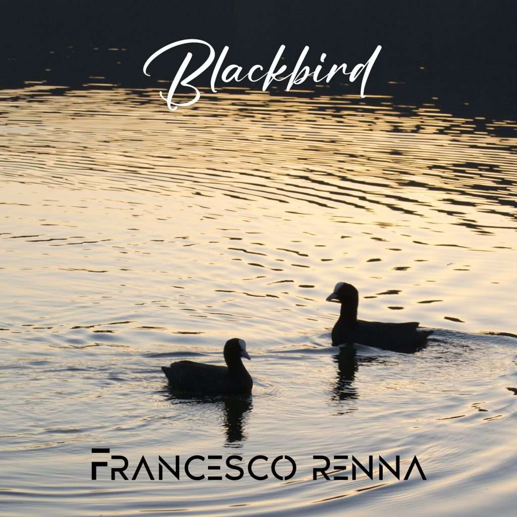 Blackbird, l'ultimo brano di Francesco Renna