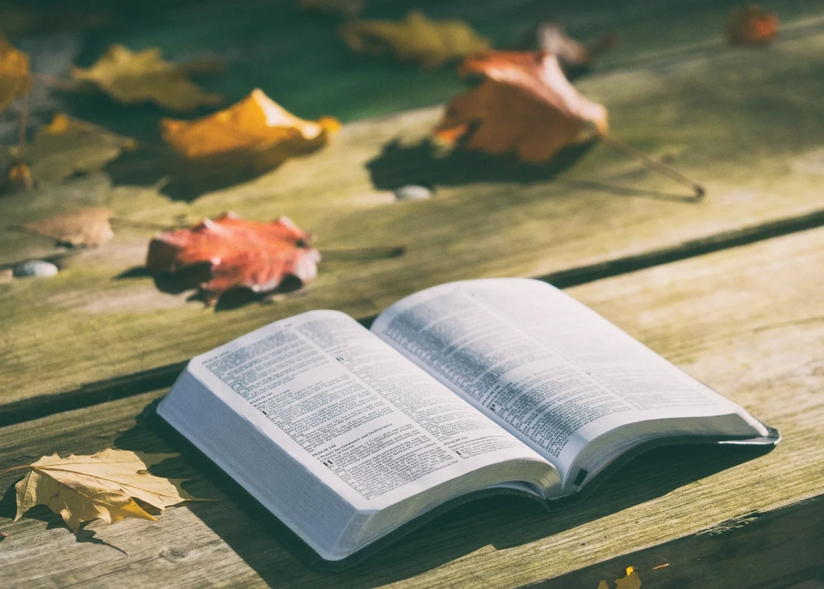 Frasi bibliche per confortare e ispirare frasi bibliche