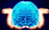 MindMaze promuove il futuro del recupero neurale dell'arto superiore con una periferica intelligente di prim'ordine per la valutazione e l'allenamento della destrezza della mano