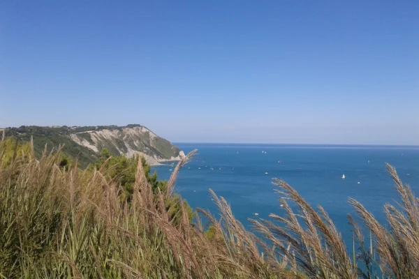 dolce naufragare in questo mare