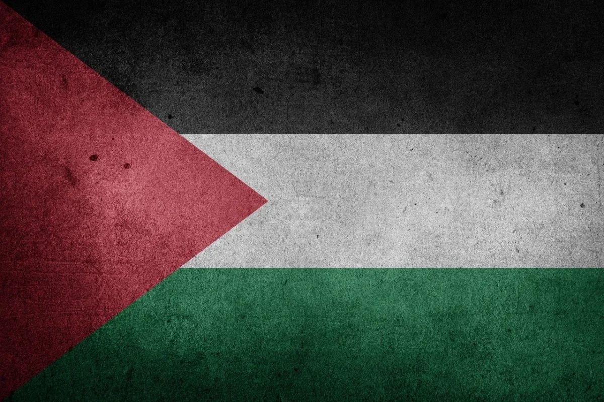Pro-palestina